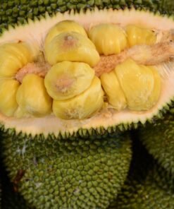 Mít tố nữ canh tác tự nhiên Phú Yên 1kg (Sao chép) (Sao chép) (Sao chép) (Sao chép)