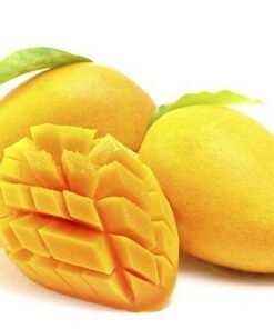 Xoài cát Hòa Lộc
