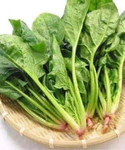 Cải bó xôi hữu cơ