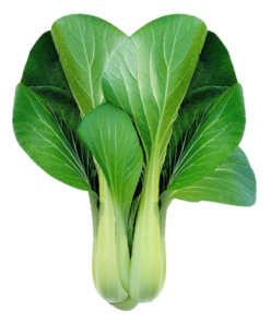 Cải thìa hữu cơ