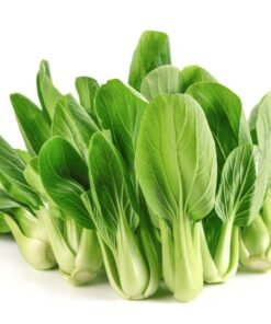 Cải thìa hữu cơ