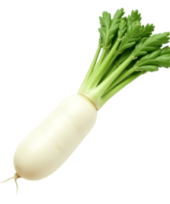 Củ cải trắng hữu cơ