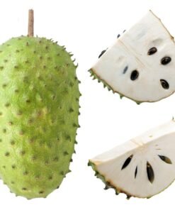 Na (mãng cầu ta)