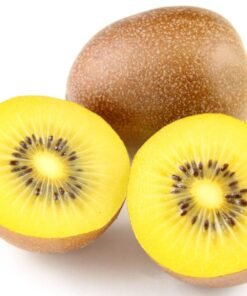 Kiwi vàng New Zealand