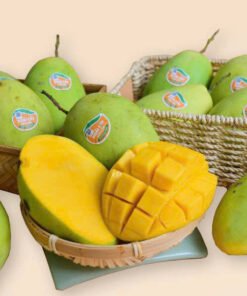 🥭 XOÀI CÁT HÒA LỘC